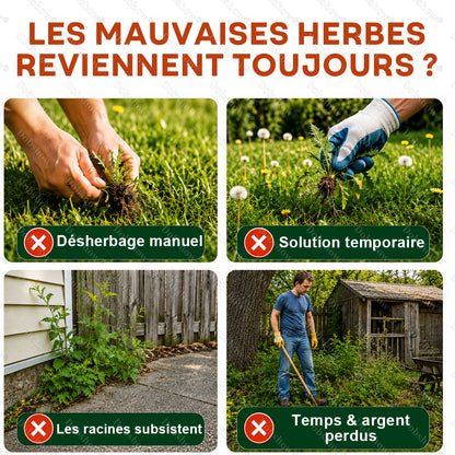 ⚡Désherbant Healrize® 2-en-1 Force Maximale : Résultats à action rapide sur les mauvaises herbes résistantes au glyphosate
