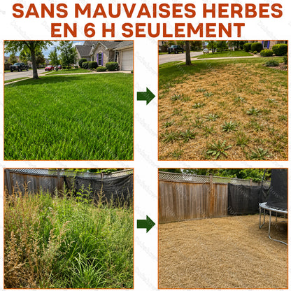 ⚡Désherbant Healrize® 2-en-1 Force Maximale : Résultats à action rapide sur les mauvaises herbes résistantes au glyphosate