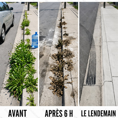 ⚡Désherbant Healrize® 2-en-1 Force Maximale : Résultats à action rapide sur les mauvaises herbes résistantes au glyphosate